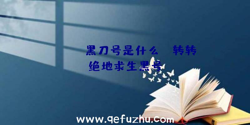 「pubg黑刀号是什么」|转转绝地求生黑号